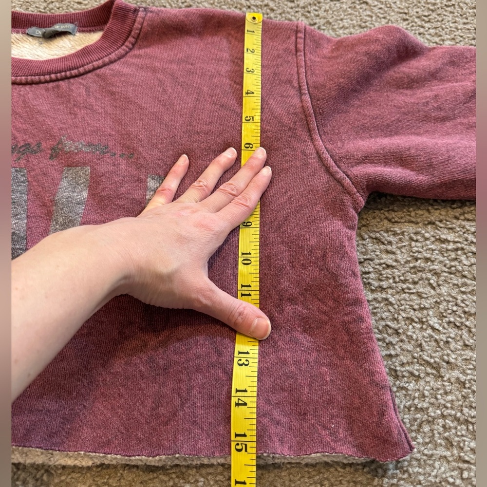 AE Don’t Ask Why cropped sweatshirt - Picture 6 of 12
